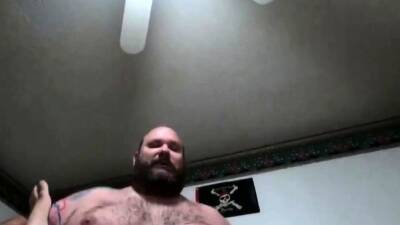 Big hairy Bear on freefilmz.com