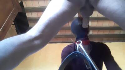 Tied To A Machine Masked And Hooded She Has To Suck A Big Dick on freefilmz.com