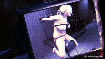 BDSM and sybian didlo for busty blonde haley cummings on freefilmz.com