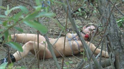 Tied up chick Bailey Blue gets her pussy fucked and jizzed in the forest on freefilmz.com