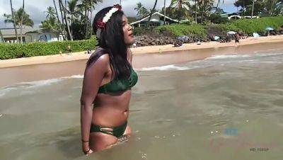 Yara Skye: Black Beauty's Intimate Encounter with a Sea Turtle on Beach on freefilmz.com