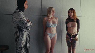 Fine broads decide to share the prize and swallow the cum on freefilmz.com