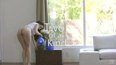 Two Of A Kind - S21:E8 on freefilmz.com